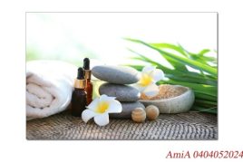 Tranh treo tường trang trí không gian quán Spa các sản phẩm dưỡng da, massage AmiA 0404052024